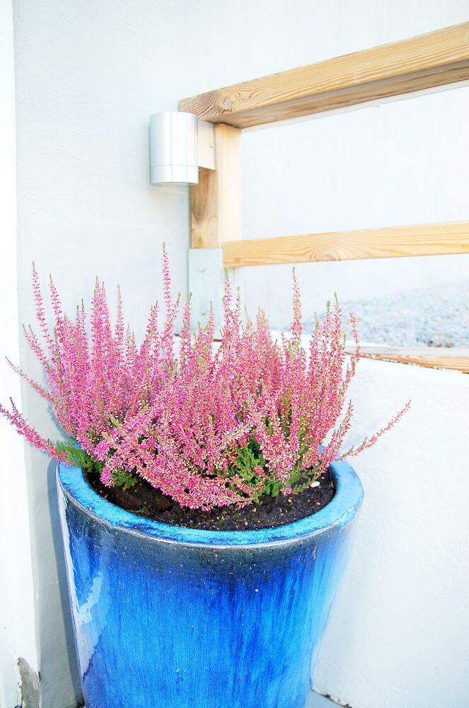 Hotel Bokloster Villahotell