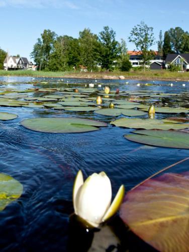 Ekebacken Hotell & Konferens