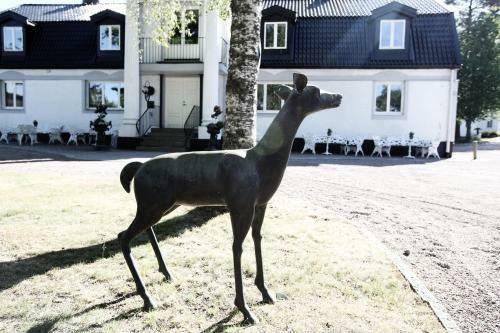 H�llsn�s Hotell & Konferens