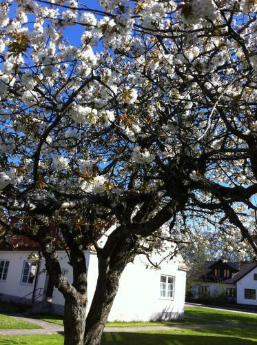 Albergue Skurups Folkh�gskola