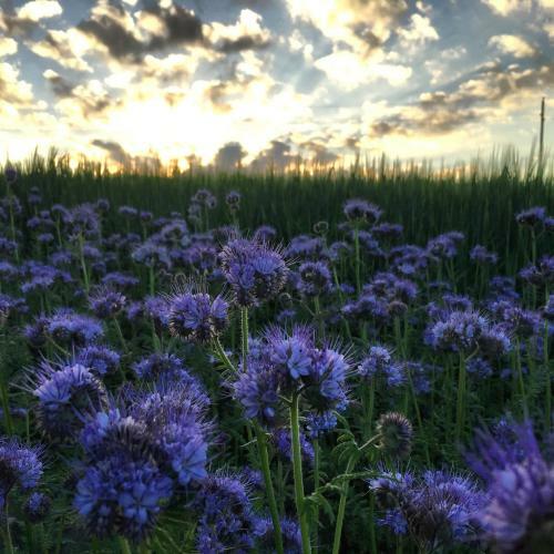 Hotel Sydkustens At Pillehill