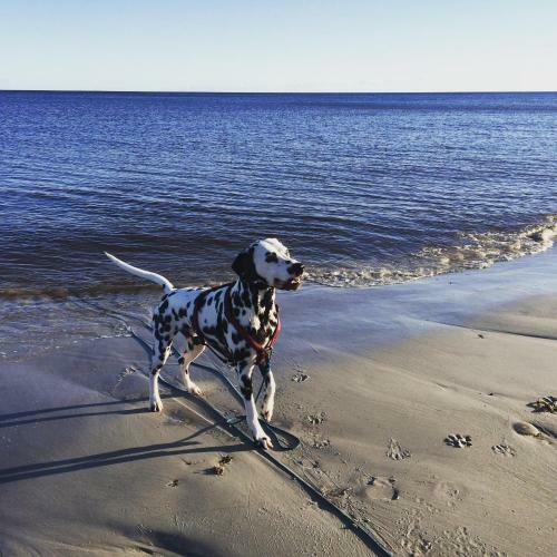 Hotel Sydkustens At Pillehill