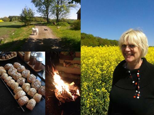 Bed & Breakfast Stora Topphem