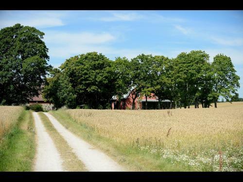 Bed & Breakfast Stora Topphem