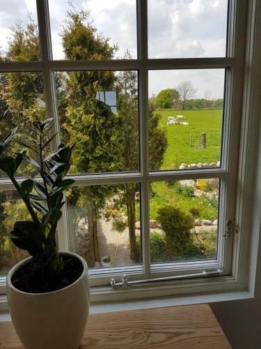 Hotel B�stekille G�rdshotell