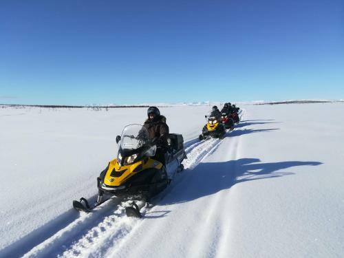 Bed & Breakfast Arctic Light Holiday House