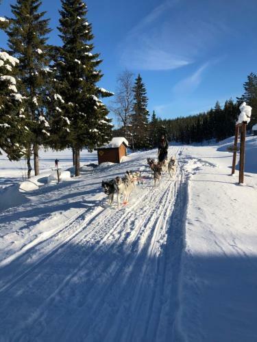 Holiday Home R�dvattnet