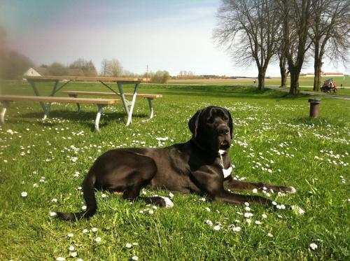Mariedals Countrylife B&B