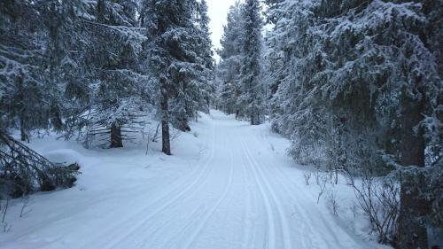 Agroturismo Lapland Snow Cabin