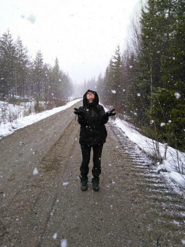 Gafsele Lappland Hostel