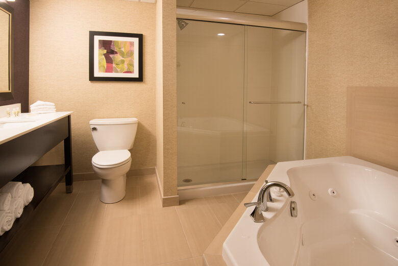 Hotel Holiday Inn Williamsport
