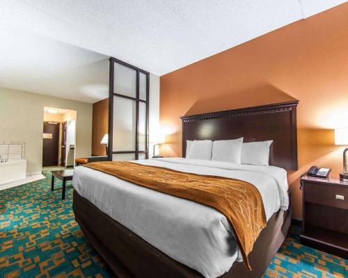 Hotel Comfort Suites Knoxville