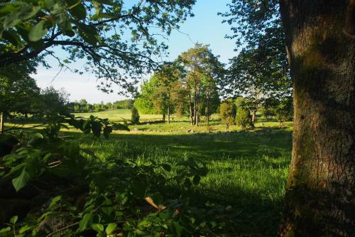 Lilla Ryg�rdens B&B