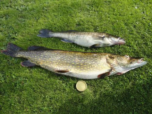 Sj�stugan O Lillstugan