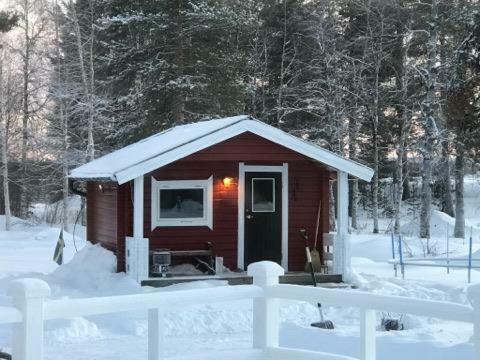 Modern Lapland Cottage With Outdoor Sauna