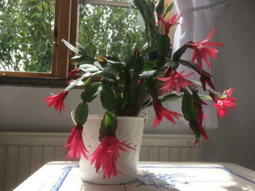 Bed & Breakfast G�rden Mellan Slotten