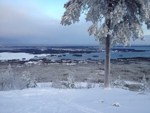 Gesundaberget Lodge & Stugby