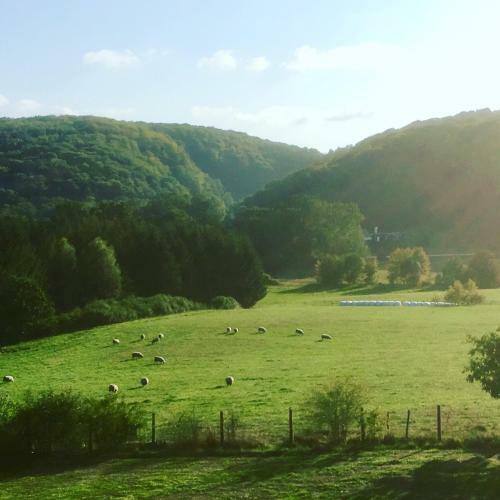 Hostal Pensionat S�der�sen