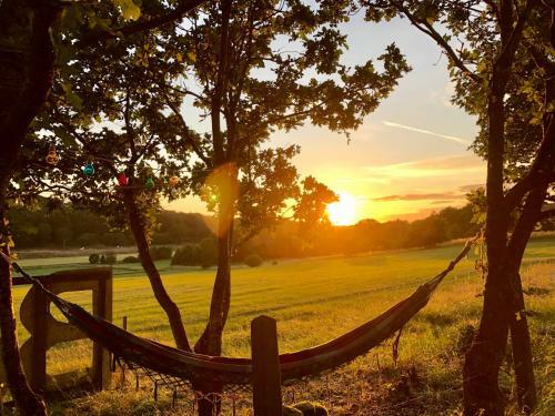 Hostal Pensionat S�der�sen