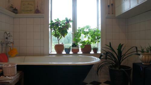 Bed & Breakfast Sweden Slow Living