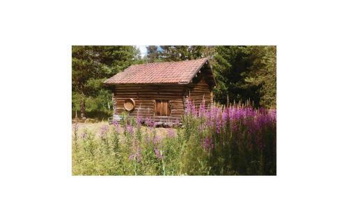 Holiday Home Tallhed Orsa