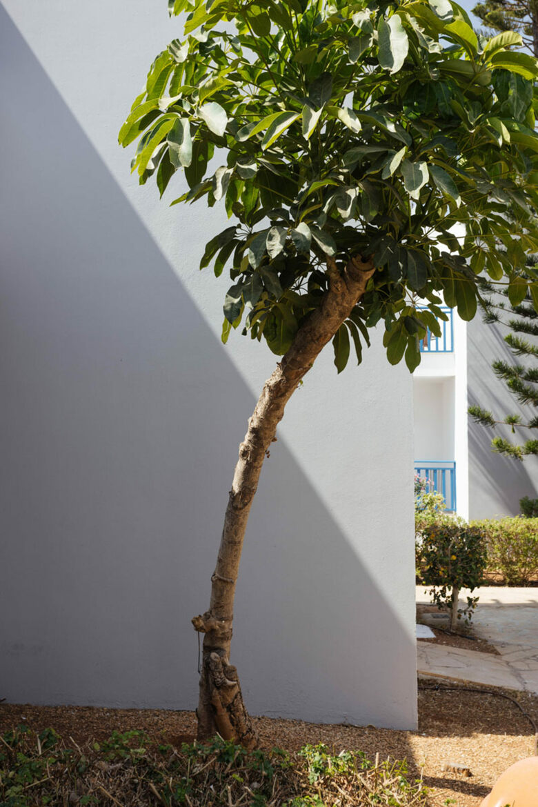 Hotel Callisto Holiday Village