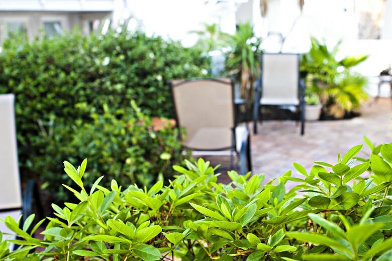 Hotel Desoto Beach Gardens
