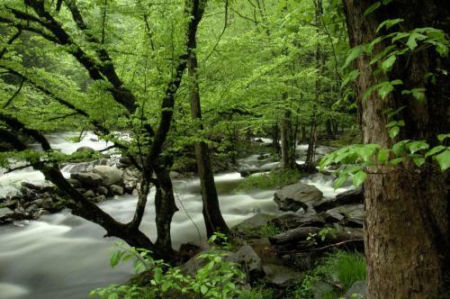 Villa Black Forest Vacation Rentals