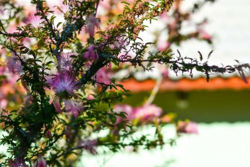 Hostal Pousada �gape