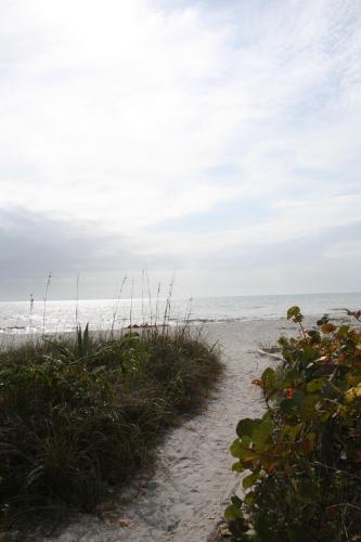 Sea Shells Of Sanibel