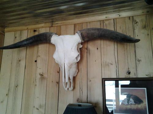 K3 Guest Ranch