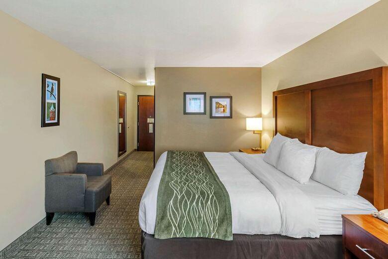 Hotel Comfort Inn University