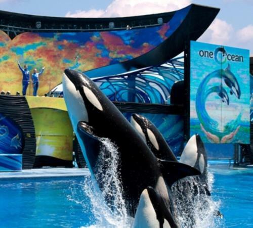 Hotel Holiday Inn Express San Diego Seaworld