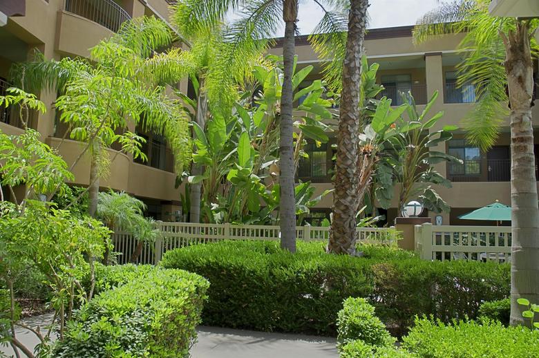Hotel Comfort Suites Mission Valley Seaworld Area