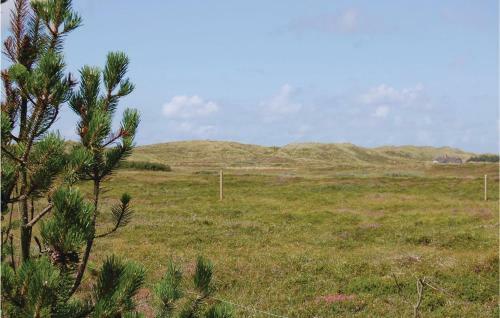 Holiday Home Bl�b�rheden Hvide Sande III