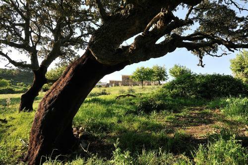 Agroturismo Stazzu Coiga