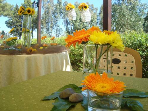 Agroturismo Le Terre Di San Domenico