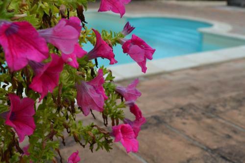 Agroturismo Casale Montemoro