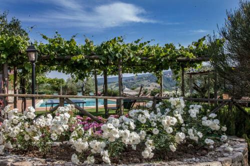 Agroturismo Belvedere Delle Crete