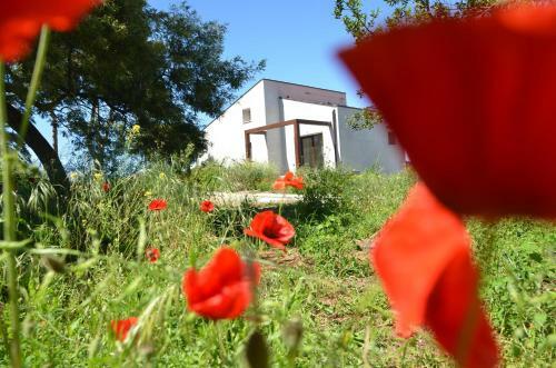 Apartamento Le Caramelle Di Baratti