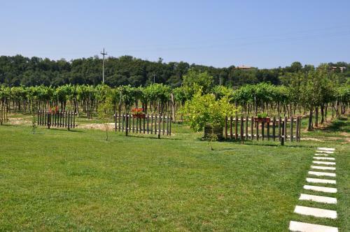 Agroturismo Agriturismo Ai Ciliegi