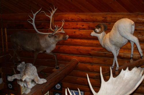 Wise Old Hunter Lodge