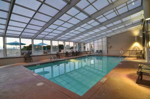 Hotel Shell Island Resort - All Oceanfront Suites