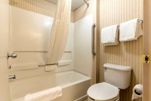 Hotel Holiday Inn Express Clemmons-winston/salem Area