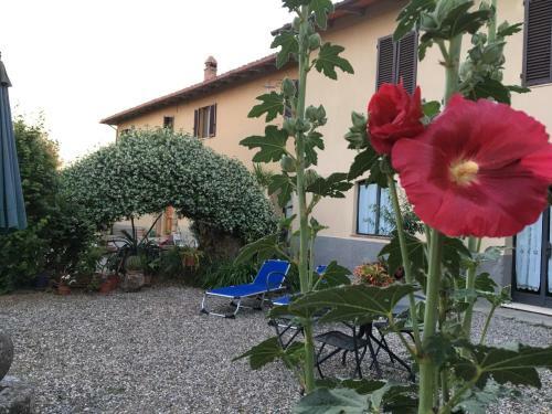 Agroturismo Agriturismo Santulivieri