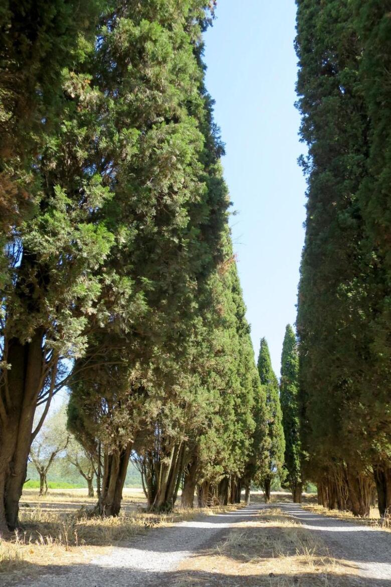 Apartamento Podere Del Lago 253s