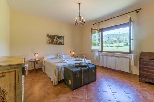 Apartamento Agriturismo Poderaccio