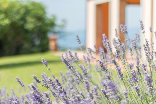 Apartamento Agriturismo Giardinetto & Girasole