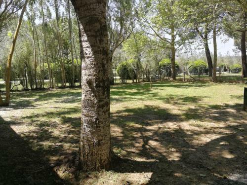 Bolsena Holiday House