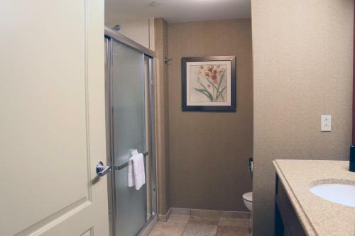 Hotel Hampton Inn & Suites - Saint Louis South Interstate 55